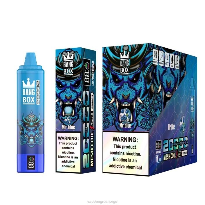 vape juice bottles wholesale | 626N129 mr blå Bang Box 20 000