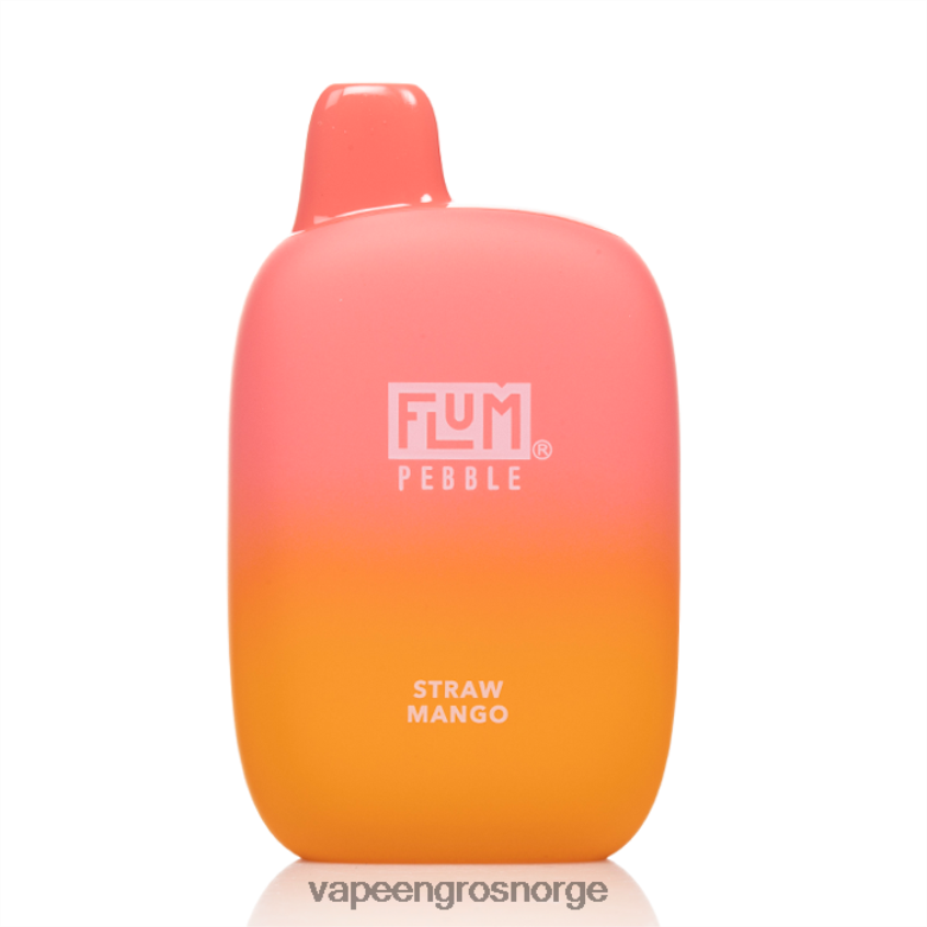 E Cigarette Juice Wholesale - FLUM PEBBLES 6000 drag halm mango 40TLBB43