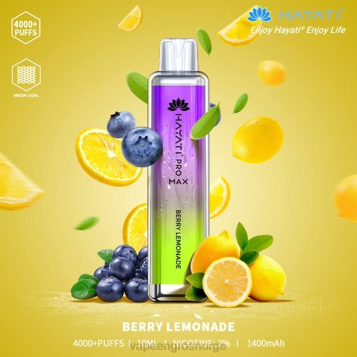 bærlimonade