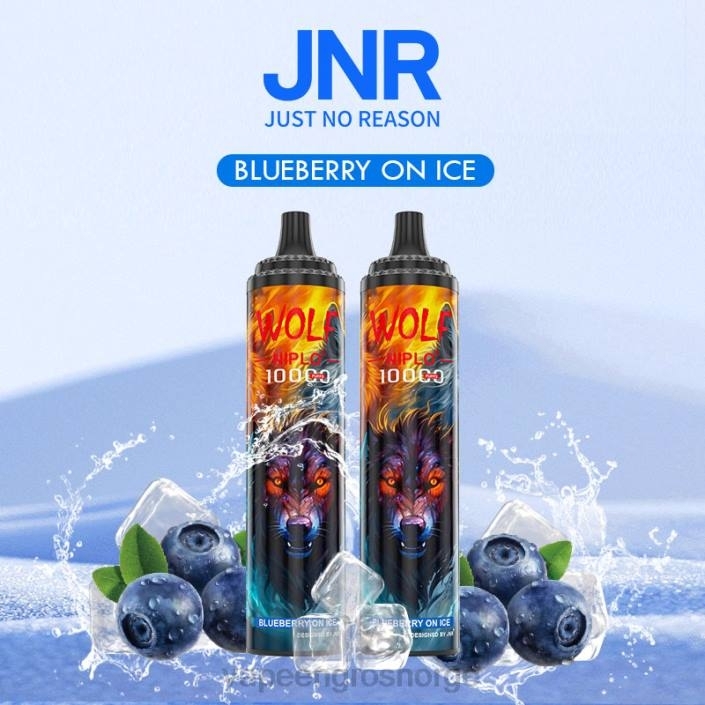 vape wholesale Norge | 626N761 blåbær på is JNR WOLF NIPLO