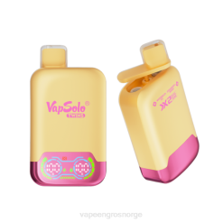 E Cigarette Juice Wholesale - Vapsolo TWINS engangs vape vannmelon is og jordbær mango P42J129