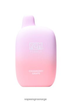 Engangs Vape Norge - FLUM PEBBLES 6000 drag tranebærdrue 40TLBB27
