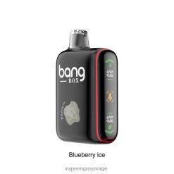 Vape Flavours Wholesale - Bang Box 9000-18000 puffs intelligent kraftdisplay blåbæris 60X4L32