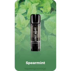 vape juice bottles wholesale | 626N429 spearmint LOST MARY Tappo ferdigfylte erstatningsputer