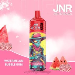 vape juice bottles wholesale | 626N669 vannmelon tyggegummi JNR ALIEN