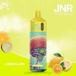 vape juice wholesale prices | 626N650 sitron lime JNR ALIEN